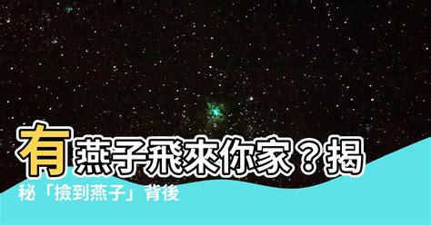 撿到燕子代表什麼|燕子是「吉祥鳥」，掉窩的燕子為何不能撿？幼崽最後會被踢出。